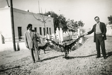 Águila - El Frente - Premio Fotopres Fundación la Caixa 2013