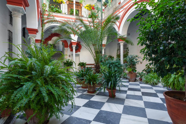 San isidoro 12