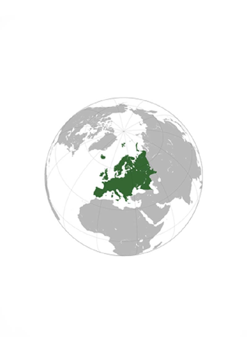 + Shipping costs to Europe / + Gastos Envío Europa